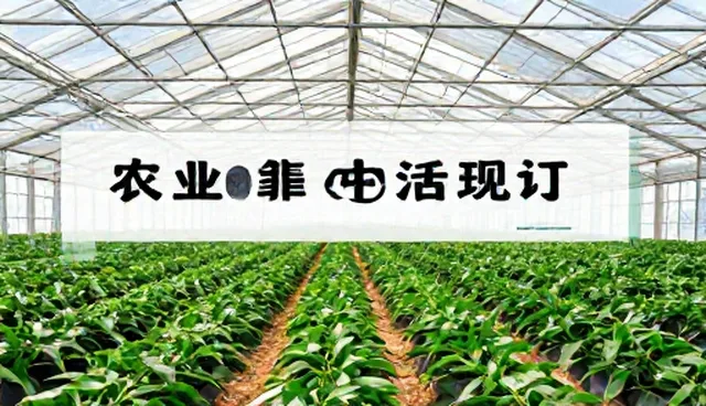 语音识别技术更新方式的选择与应用
